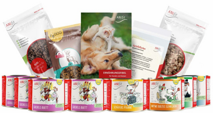 AniFit Schnupperpaket 