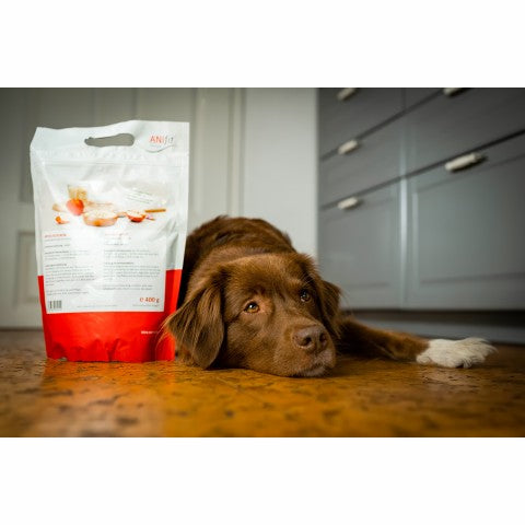 Apfelflocken für Hunde, stärkefreies Ergänzungsfutter