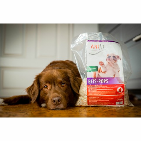 Reispops für den Hund, Glutenfrei von ANIfit
