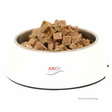 Braune Hundefutter-Würfel im Napf, mit Huhn, Fisch und Reis