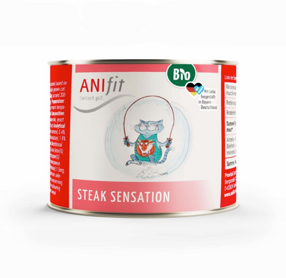 Rindersteak Nassfutter Katzen