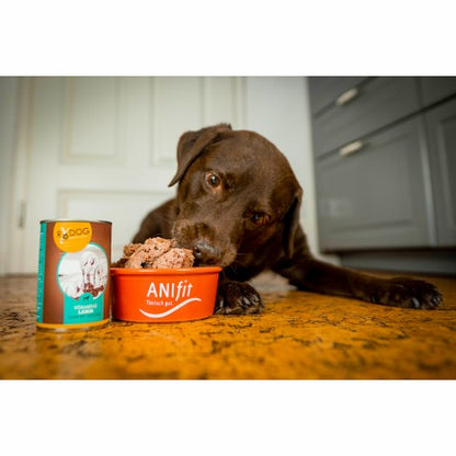 Hundefutter-Dosen mit Lamm-Nassfutter im Napf