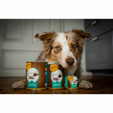 RyDog Hundefutterdosen (mehrere Größen) vor einem Hund liegend