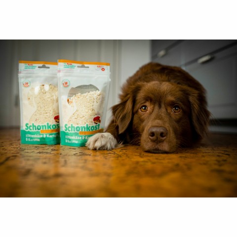 Hund neben ANIfit Schonkost-Beuteln: Hüttenkäse-Kartoffel-Karotte