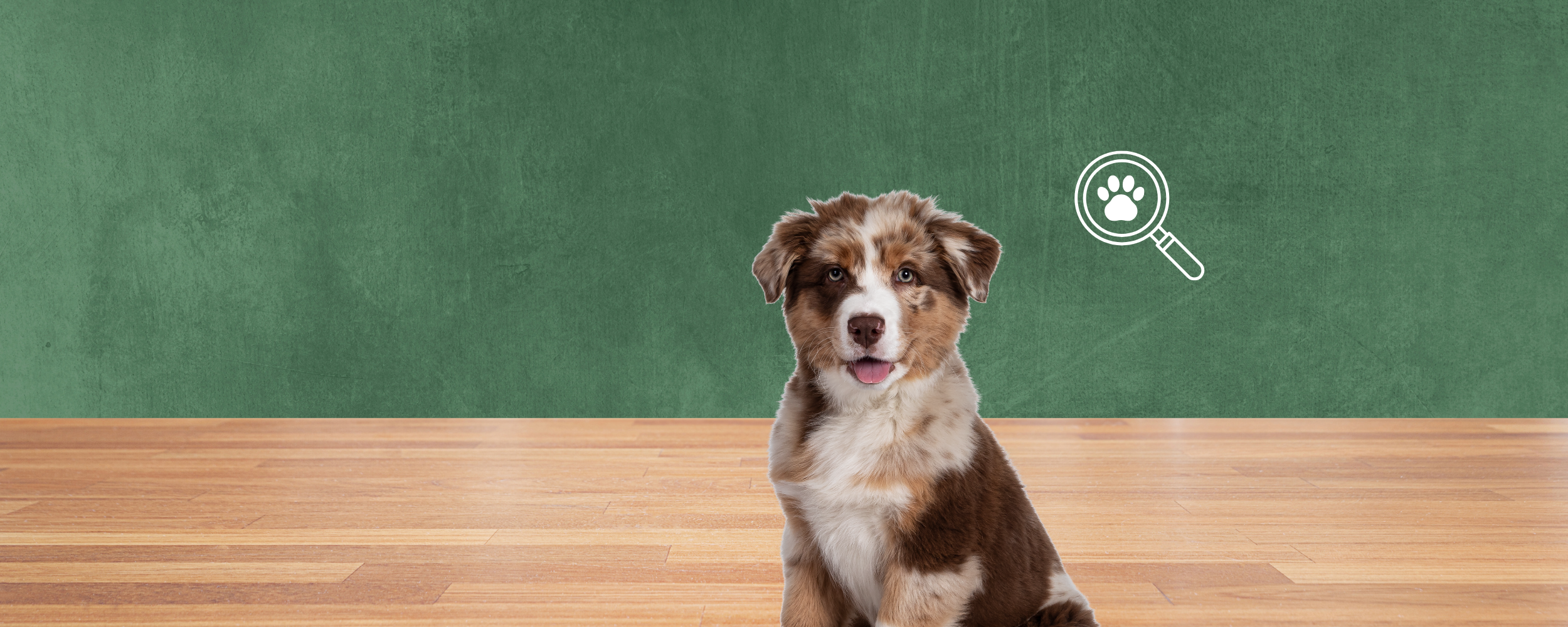 Foto von einem Welpen