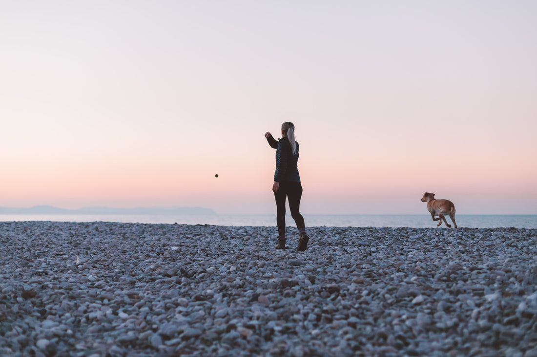 Bild von einer Frau und einem Hund am Strand
